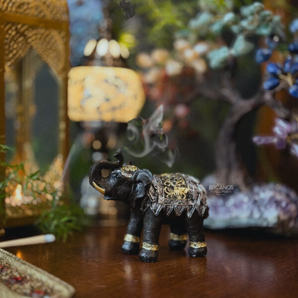 Elefante Indiano (M)