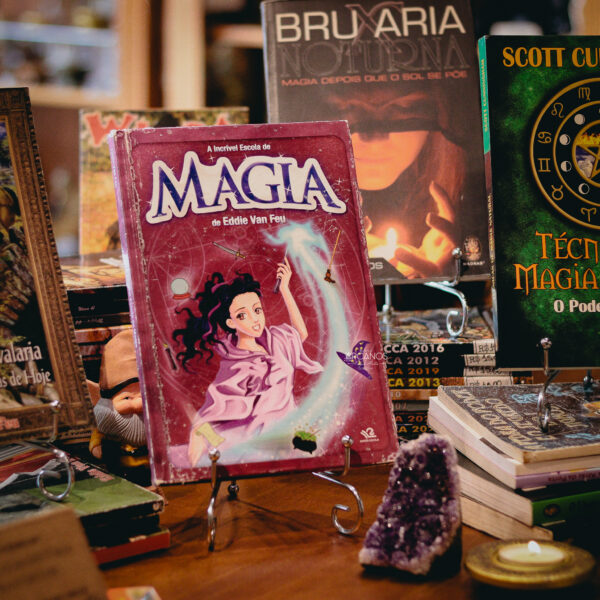 LIVRO-A Incrível Escola de Magia de Eddi Van Feu