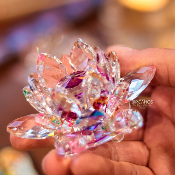 Lótus de Cristal ( Colorida) - Imagem 2