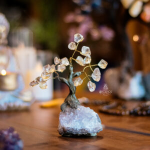 Arvore de Cristal Quartzo Transparente  (P)