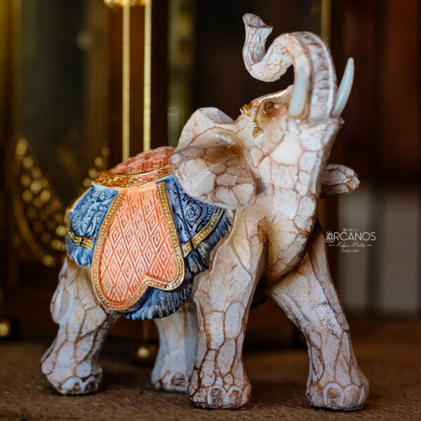 Elefante Indiano