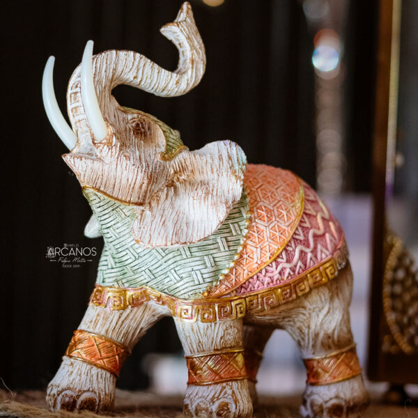Elefante Índia Color